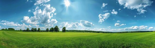 Green Field With Trees and Clouds photo