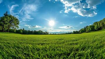 Sun Shining Over Green Field photo