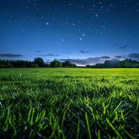 Starry Night Over Grassy Field photo