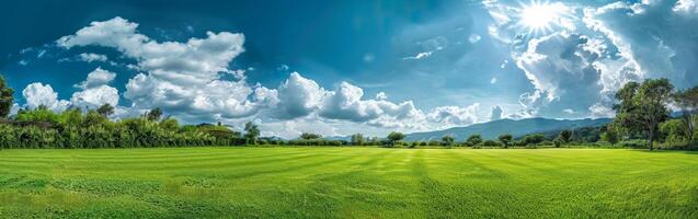 verde campo con arboles y nubes foto