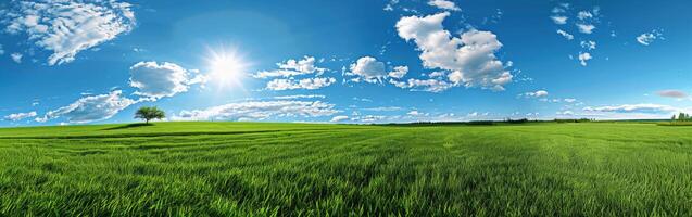 Tree Standing in Green Field photo