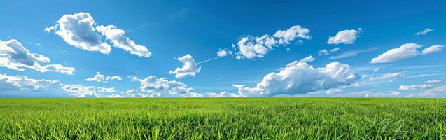 campo verde bajo el cielo azul foto