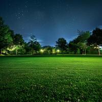 Grassy Field With Trees and Lights photo