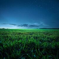 herboso campo a noche con estrellas foto