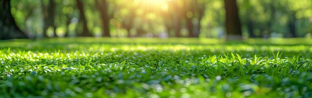 Tranquil Meadows and Majestic Trees photo