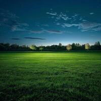 Grassy Field With Trees photo