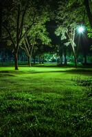 Grassy Field With Trees and Lights photo