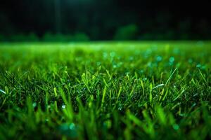 Close-Up of Lush Green Grass Field photo