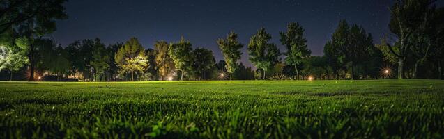 Grassy Field at Night With Trees photo