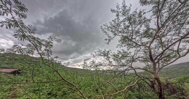 Time lapse movie of fast moving clouds at the Waterberg plateau in Namibia during the day video