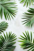 hojas de palma verde sobre fondo blanco foto
