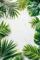 Vibrant Green Leaves on White Background photo
