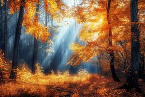 Dense Forest With Yellow Leaves photo