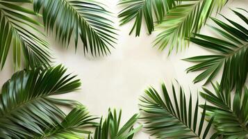 Cluster of Green Palm Leaves on White Background photo