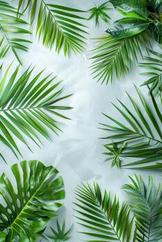 Cluster of Green Leaves on White Surface photo