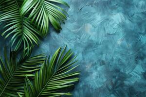 Green Palm Leaf on Blue Background photo