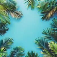 Blue Background With Green Palm Leaves photo