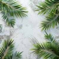 Palm Tree Covered in Snow photo