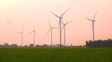 view of turbine green energy electricity, windmill for electric power production, Wind turbines generating electricity on rice field at Phan Rang, Ninh Thuan province, Vietnam video