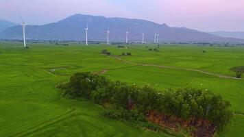 view of turbine green energy electricity, windmill for electric power production, Wind turbines generating electricity on rice field at Phan Rang, Ninh Thuan province, Vietnam video