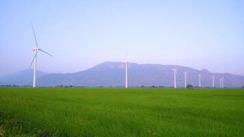 view of turbine green energy electricity, windmill for electric power production, Wind turbines generating electricity on rice field at Phan Rang, Ninh Thuan province, Vietnam video