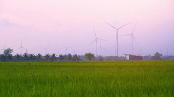 view of turbine green energy electricity, windmill for electric power production, Wind turbines generating electricity on rice field at Phan Rang, Ninh Thuan province, Vietnam video