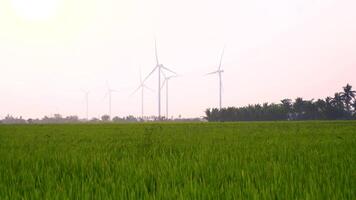 view of turbine green energy electricity, windmill for electric power production, Wind turbines generating electricity on rice field at Phan Rang, Ninh Thuan province, Vietnam video