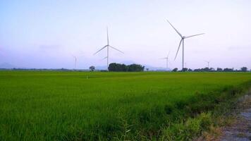 view of turbine green energy electricity, windmill for electric power production, Wind turbines generating electricity on rice field at Phan Rang, Ninh Thuan province, Vietnam video