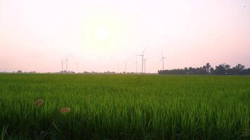 view of turbine green energy electricity, windmill for electric power production, Wind turbines generating electricity on rice field at Phan Rang, Ninh Thuan province, Vietnam video