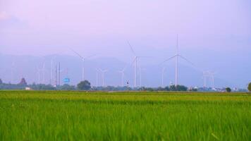 view of turbine green energy electricity, windmill for electric power production, Wind turbines generating electricity on rice field at Phan Rang, Ninh Thuan province, Vietnam video