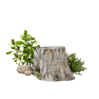 Tree stump cut out backgrounds 3d rendering files png