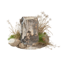 Old wood dead stub cut out backgrounds 3d rendering png