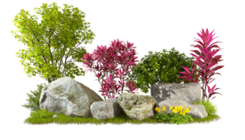 Gardening plants and flowery design composition with realistic nature rock transparent backgrounds 3d rendering png