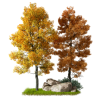 Autumn trees forested isolate on transparent background 3d illustration png