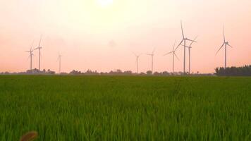 view of turbine green energy electricity, windmill for electric power production, Wind turbines generating electricity on rice field at Phan Rang, Ninh Thuan province, Vietnam video