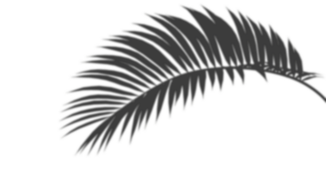 palma foglia fogliame realistico ombra ombra tagliare su sfondi 3d rendere file png