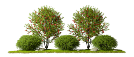 Nature landscaping gardening trees composition cut out backgrounds 3d rendering png