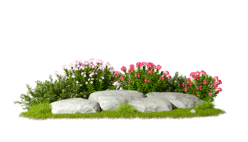 Garden design flower plants and rocks on transparent backgrounds 3d rendering png