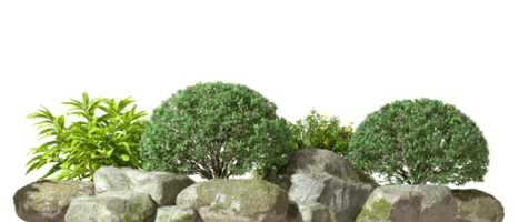 natuur tuinieren struiken ontwerp leggen uit uitknippen transparant achtergronden 3d renderen png