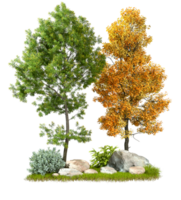 Summer green and autumn yellow trees nature cut out backgrounds 3d rendering file png