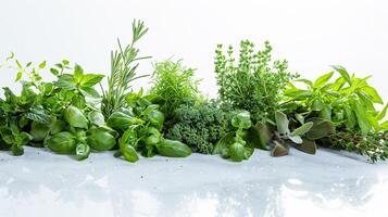 A vibrant array of fresh herbs and vegetables, forms a captivating display on the clear white surface. photo