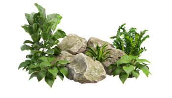 Cutout green tropics gardening decorative with mossy rock set 3d rendering illustration background file png