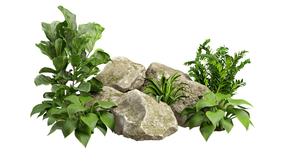 Landscape Plants PNGs for Free Download