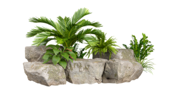 Tropics green plants gardening design with nature rock transparent background 3d rendering file png