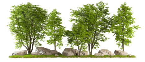 Greenery forest summer landscape cut out transparent background 3d rendering file png