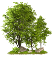 Cut out greenery forest trees design composition 3d rendering file png