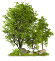 Cut out greenery forest trees design composition 3d rendering file png