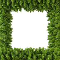 Nature green tree plants rectangle frame 3d rendering file png