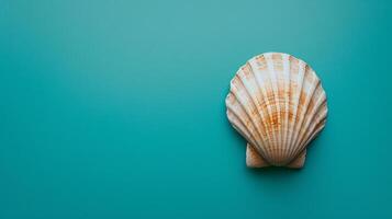 A single seashell, delicately placed against a colored background, captures the essence of the ocean photo