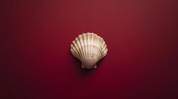 A single seashell, delicately placed against a colored background, captures the essence of the ocean photo